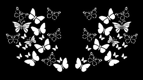 Papillon